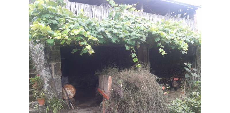 Rehabilitación de palleira